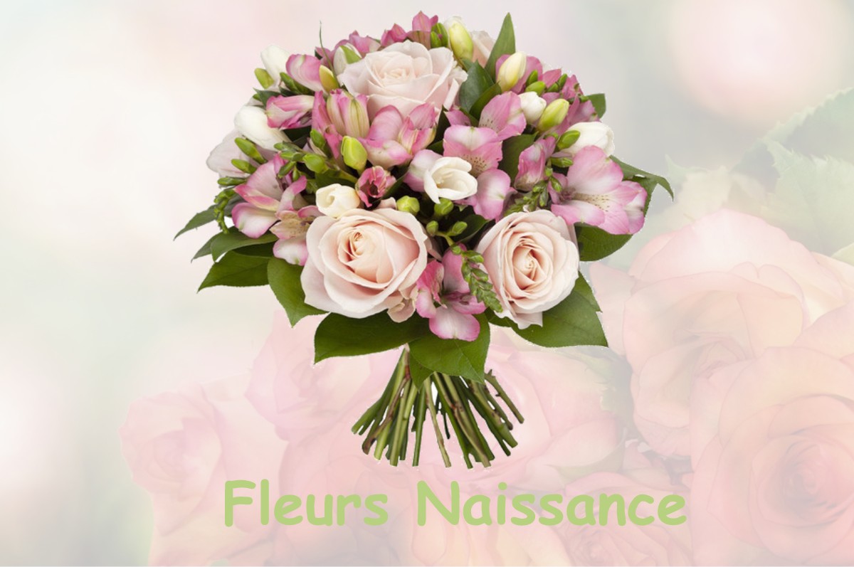 fleurs naissance LE-MESNIL-SUR-BLANGY