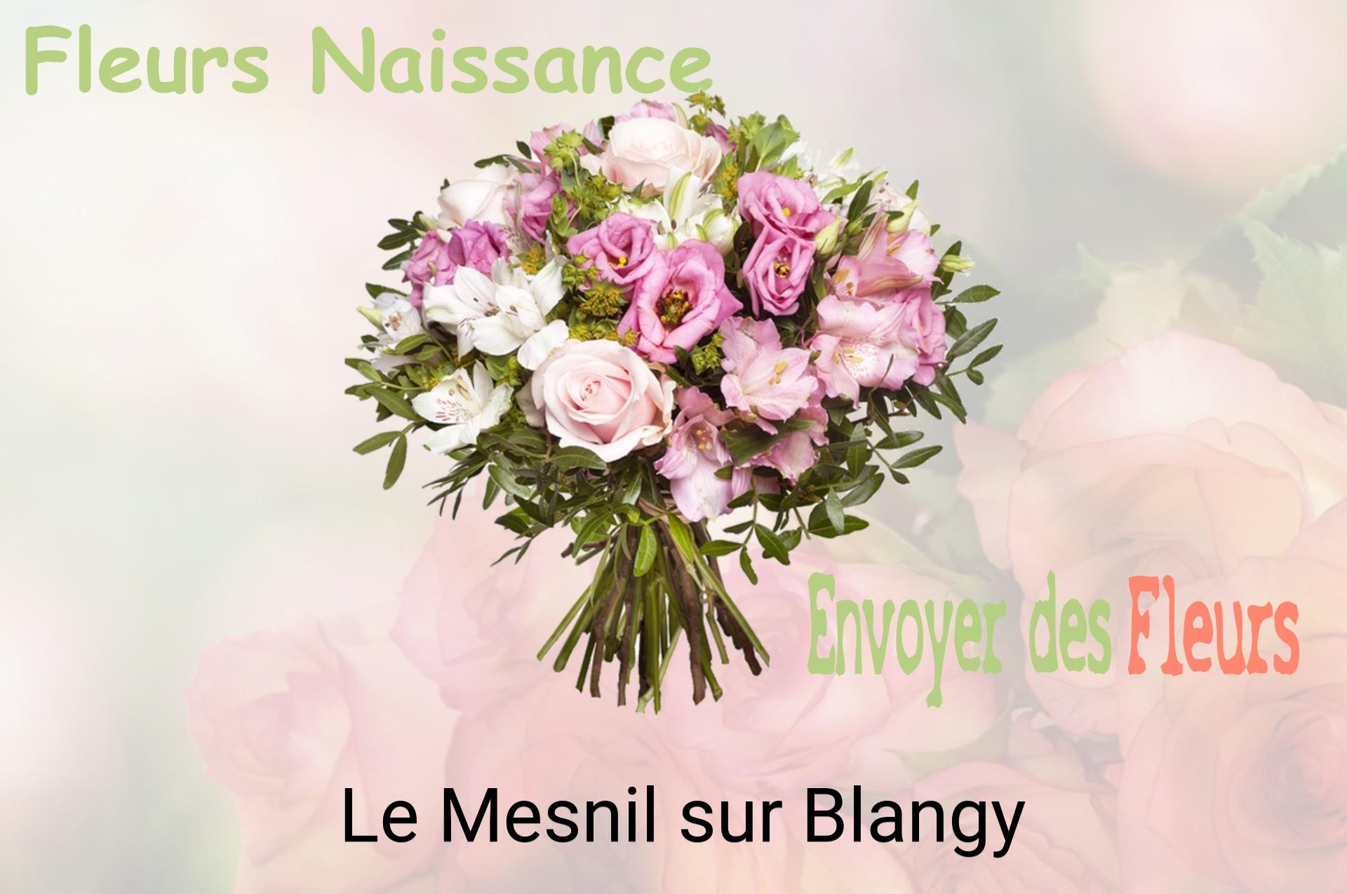 Bouquet de fleurs de naissance livré à Le Mesnil-sur-Blangy