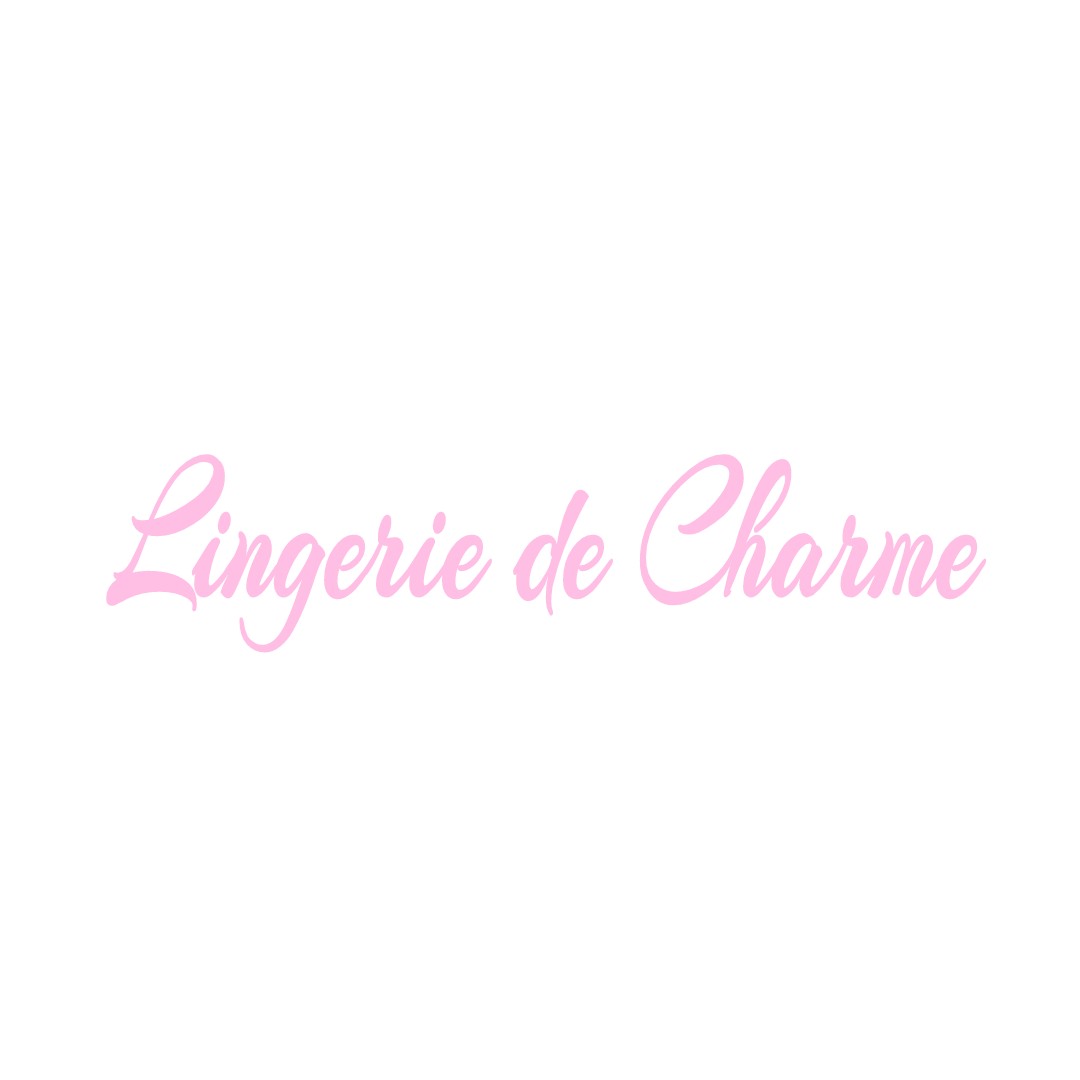 LINGERIE DE CHARME LE-MESNIL-SUR-BLANGY